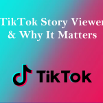 tikTok_story viewer