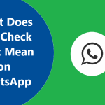 one-check-mark-mean-on-whatsapp