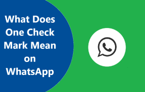 one-check-mark-mean-on-whatsapp