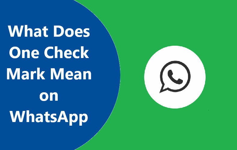 one-check-mark-mean-on-whatsapp