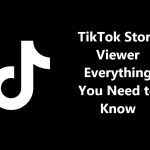 tiktok-story-viewer