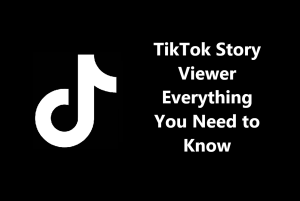 tiktok-story-viewer