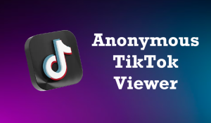 Anonymous TikTok Viewer
