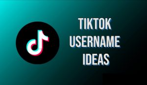 tiktok username ideas​