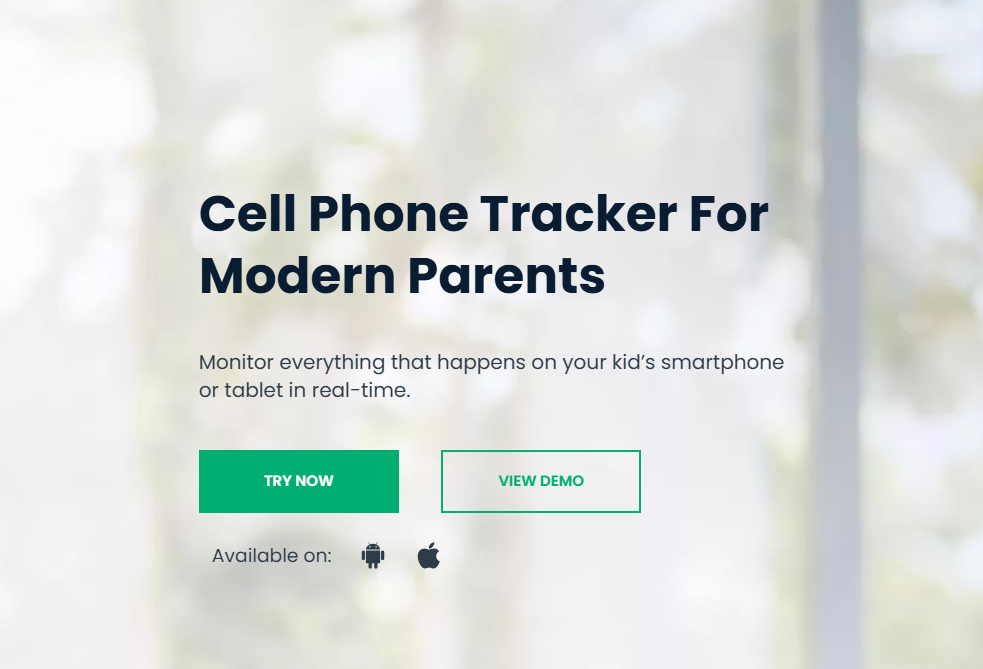 Snapchat Story Viewer