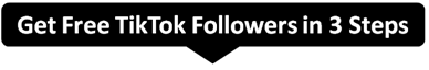 Fet Free TikTok Followers